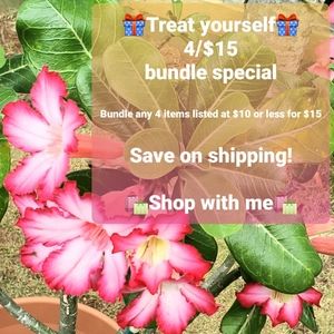 🎁4/$15 Treat Yourself!🎁 Bundle Special